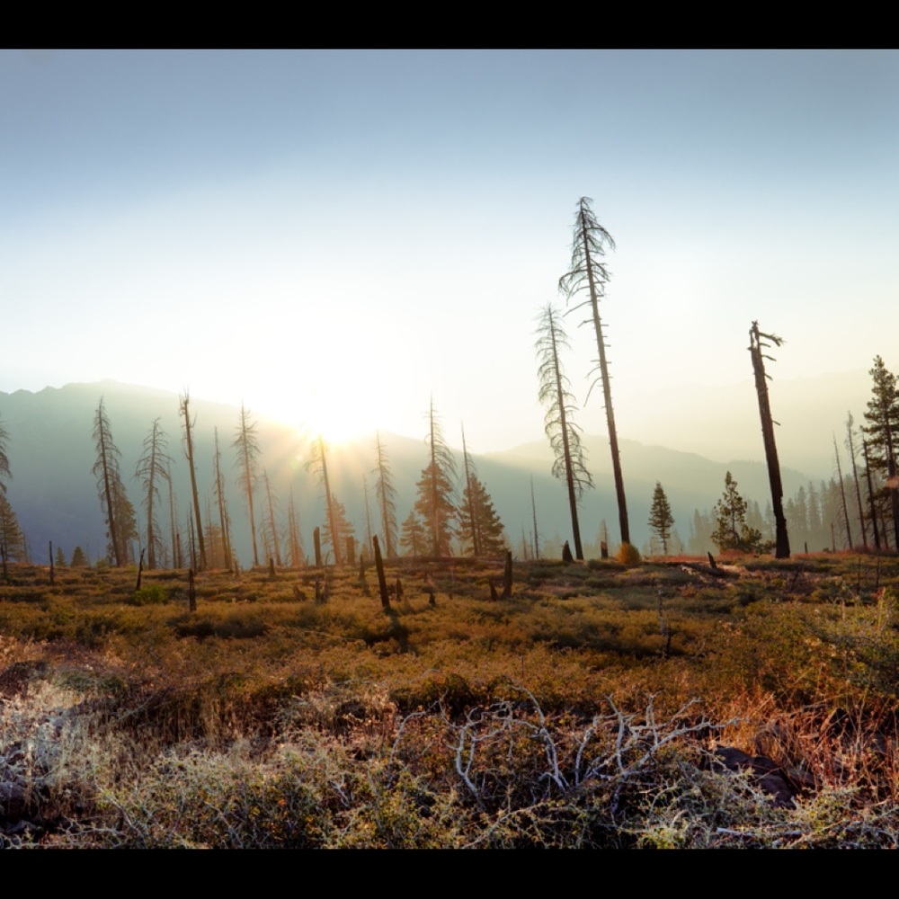 Meet your Posher, Shang